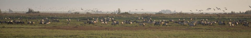 2018_09_17_262_kursy_255_afo_zdjecia_wyroznione_0004_1920px
